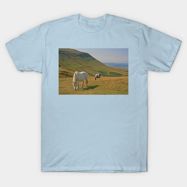 Hay Bluff, September 2022 T-Shirt by RedHillDigital